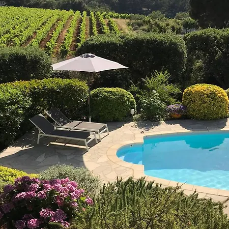 Maison 3 Avec Piscine Dans Un Cadre Calme Et Rare - Fr-1-726-66 Semesterbostad La Croix-Valmer